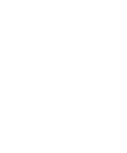 bg-border
